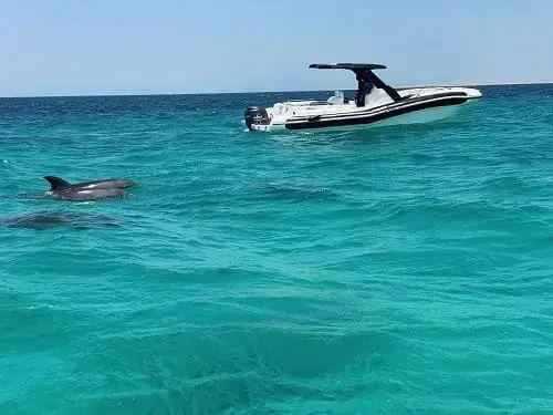 Dolphin House private boat destination in Hurghada